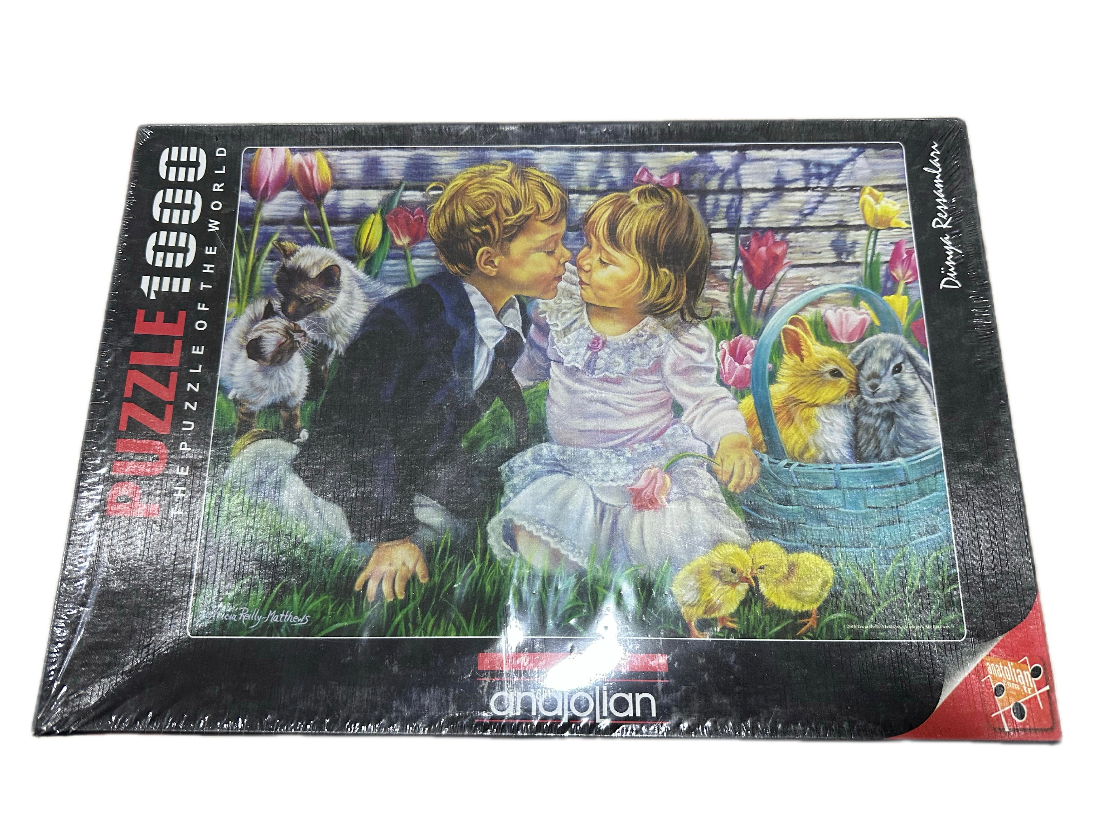 1000 Piece Puzzle